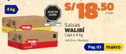 Makro Walibí salsas oferta