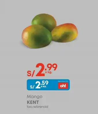Makro Mango kent kg oferta