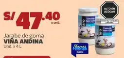 Makro Viña Andina jarabe de goma oferta