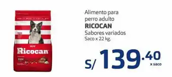 Makro Alimento para perro adulto ricocan 22kg oferta