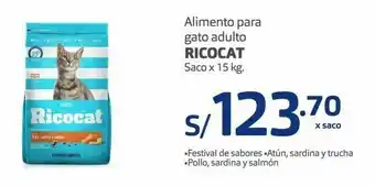 Makro Alimento para gato adulto ricocat 15kg oferta