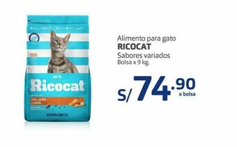 Makro Comida para gatos ricocat oferta