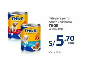 Makro Comida para perros thor oferta