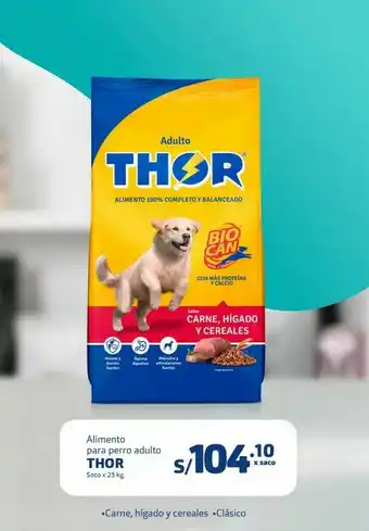 Makro Comida para perros thor oferta