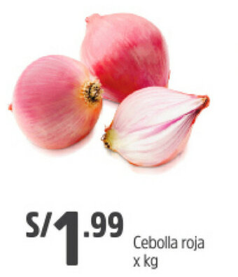 Plaza Vea Cebolla Roja oferta