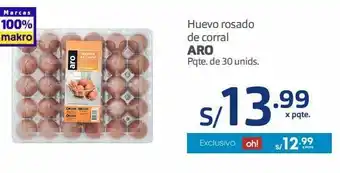 Makro Huevo rosado de corral aro pqte. de 30 unids. oferta