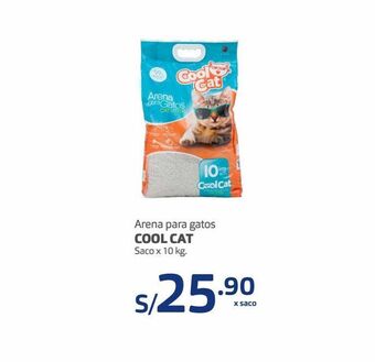 Makro Arena para gatos cool cat oferta