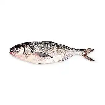 Tottus Cojinova oferta