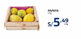 Makro Papaya x kg. oferta