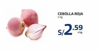Makro Cebolla roja x kg. oferta