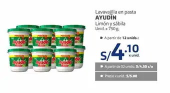 Makro Lavavajilla en pasta ayudín oferta