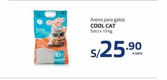 Makro Arena para gatos cool cat oferta