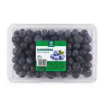 Tottus Blueberrie tottus 250 gr oferta