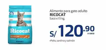Makro Comida para gatos ricocat oferta