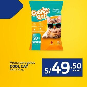 Makro Arena para gatos cool cat oferta
