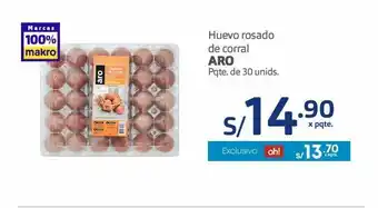 Makro Huevo rosado de corral aro oferta
