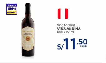 Makro Vino borgoña viña andina oferta