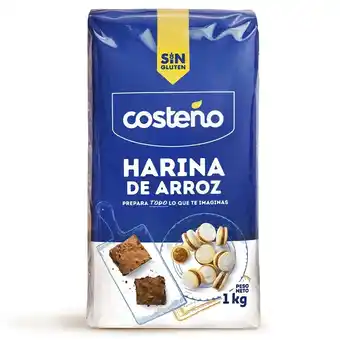Tottus Harina de arroz costeno x 1kg oferta