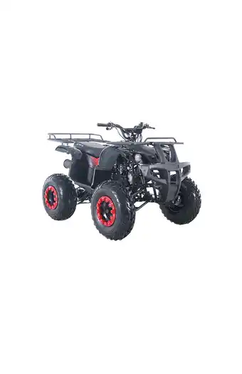Tiendas EFE Cuatrimoto jettor t-rex150 oferta