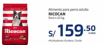 Makro Alimento para perro adulto ricocan saco x 22 kg oferta