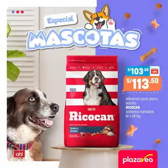 Plaza Vea Alimento para perro adulto RICOCAN sabores variadados bl x 15kg oferta