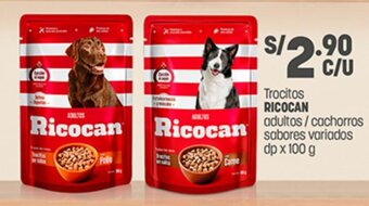 Plaza Vea Trocitos RICOCAN adultos / cachorros sabores variados dp x 100g oferta