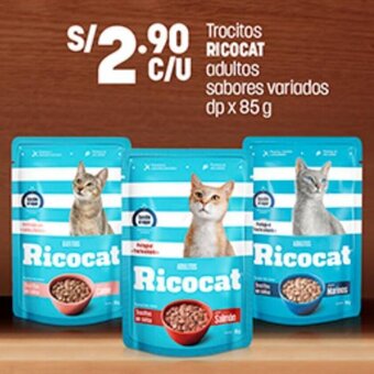 Plaza Vea Trocitos RICOCAT adultos sabores variados dp x 85g oferta