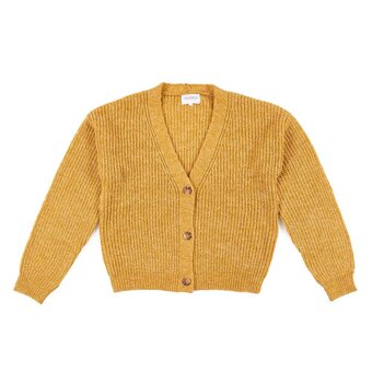 Tottus Chompa crop oferta