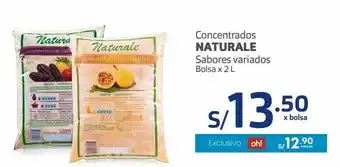 Makro Concenrados naturale x 2 l oferta