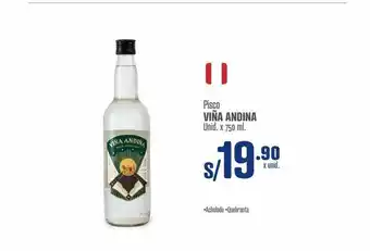 Makro Pisco viña andina oferta