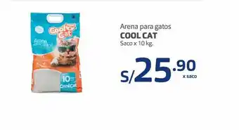 Makro Arena para gatos cool cat oferta