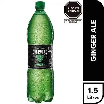 Vivanda Gaseosa evervess ginger ale botella 1.5l oferta
