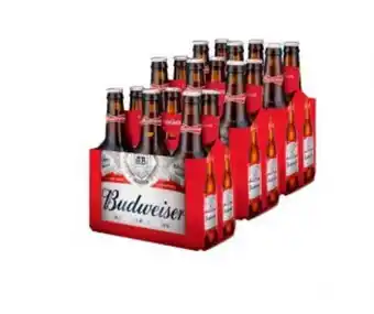 Freshmart Pack x3 cerveza budweiser 6pack - botella 343 ml - unidad oferta