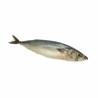 Tottus Caballa entera tottus oferta