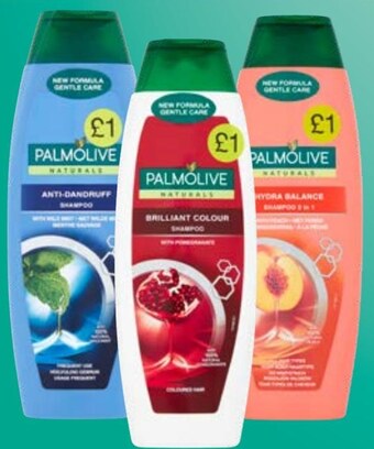 Dealz Szampon Palmolive oferta