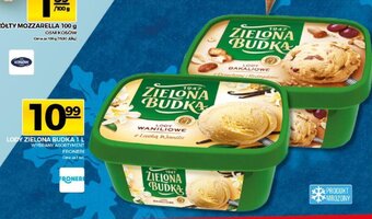Topaz Lody Zielona Budka 1l oferta