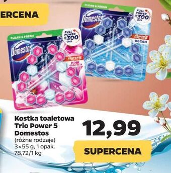 Netto Kostka do wc pink magnolia Domestos Power5 oferta