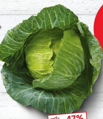 Kaufland Kapusta oferta