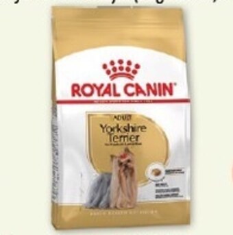 Maxi Zoo Karma dla psa Royal Canin oferta