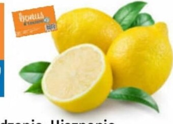 E.Leclerc Cytryna oferta