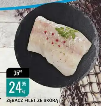 bi1 Zębacz filet ze skórą 1kg oferta