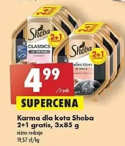 Biedronka Karma dla kota pate z łososiem Sheba Classics oferta