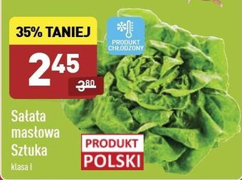 ALDI Sałata masłowa oferta