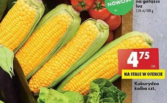 Biedronka Kukurydza w kolbach oferta