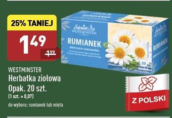 ALDI Mięta Westminister oferta