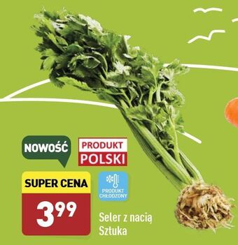 ALDI Seler z nacią oferta