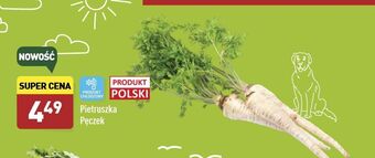 ALDI Pietruszka oferta