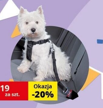 Kakadu Szelki dla psa Trixie oferta