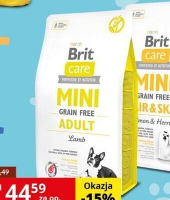 Karma dla psa Brit