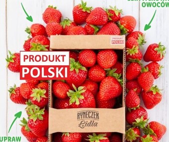 Lidl Truskawki oferta